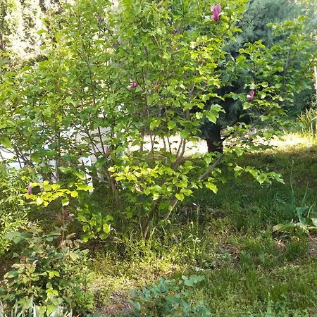 Apartment River Side